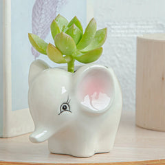 Animal Ceramic Flowerpot