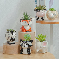 Animal Ceramic Flowerpot